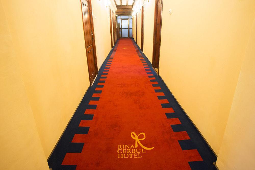 Hotel Rina Cerbul Sinaia Exteriér fotografie