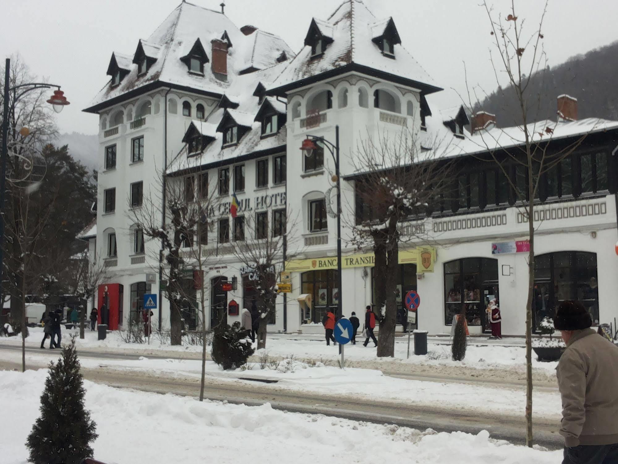 Hotel Rina Cerbul Sinaia Exteriér fotografie
